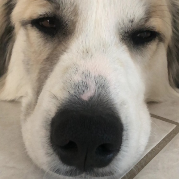 Meet your Posher, Jamie - Picture 1 of 1